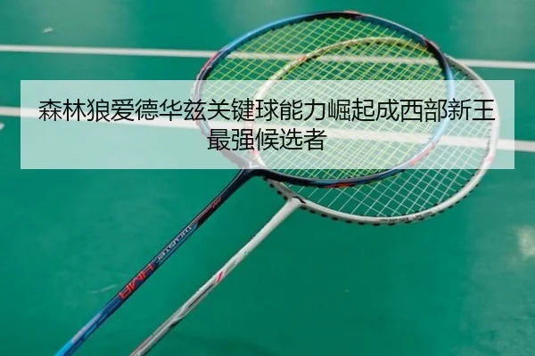 森林狼爱德华兹关键球能力崛起成西部新王最强候选者